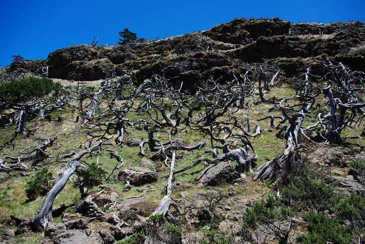 熊猫体育:
本田油耗7.8升夺冠 疾驰宝马公共最爱涡轮增压 美国EPA陈诉出炉(图3) xiongmao体育