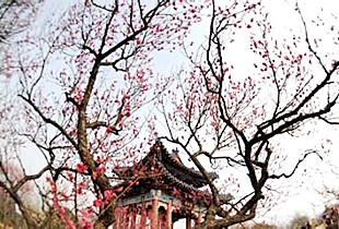 熊猫体育-韩正:提高政治站位 紧盯突出问题 坚决打好污染防治攻坚战(图4) panda sports