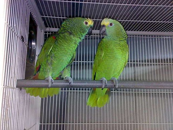 panda sports_
薪酬12万以上+完善的教育培训与人才造就机制︱中冶西北工程技术有限公司(图4) panda sports